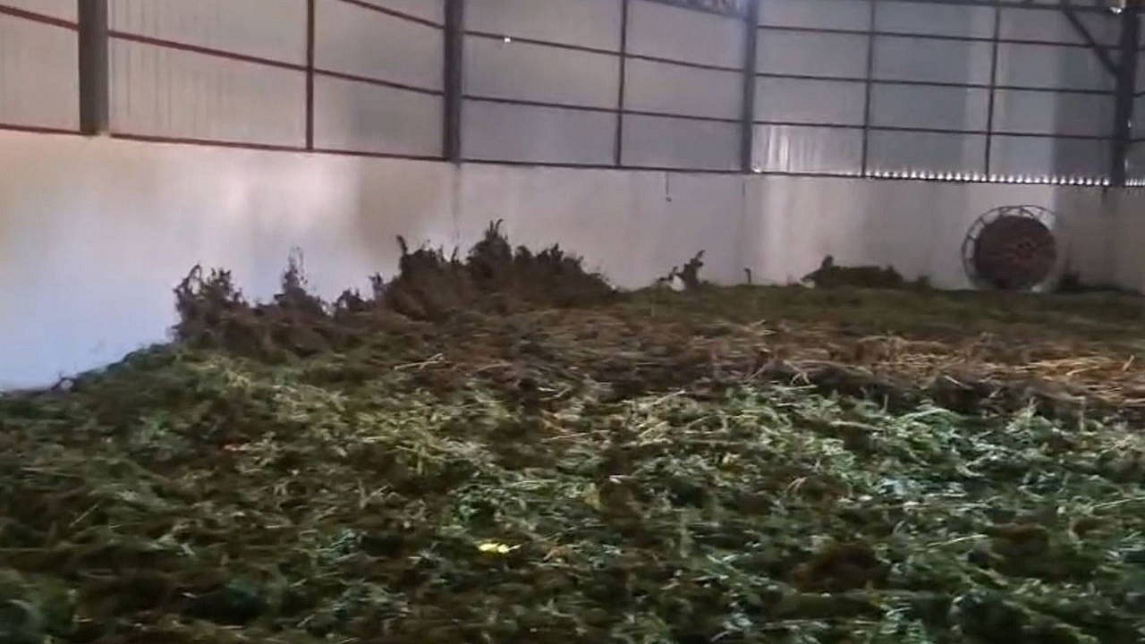 Diyarbakır'da dev uyuşturucu operasyonunda 2,2 ton esrar