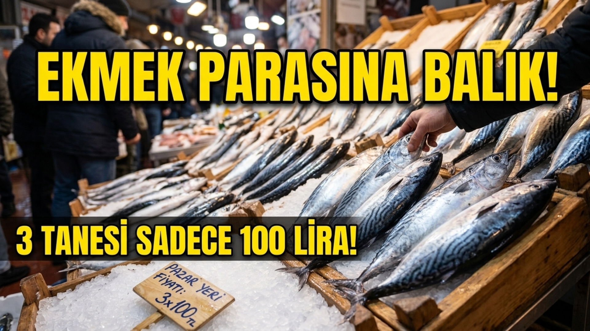 Doğu Karadeniz'de palamut bolluğu fiyatları düşürdü