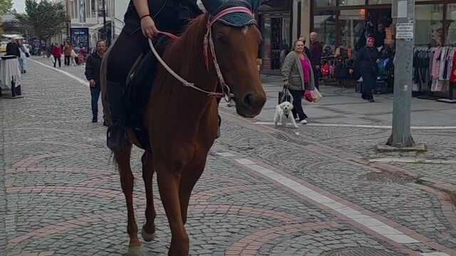 Edirne'de atıyla caddede gezerek ilgi topladı