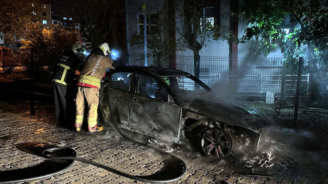 Edirne'de Bulgaristan plakalı otomobil alev alev yandı