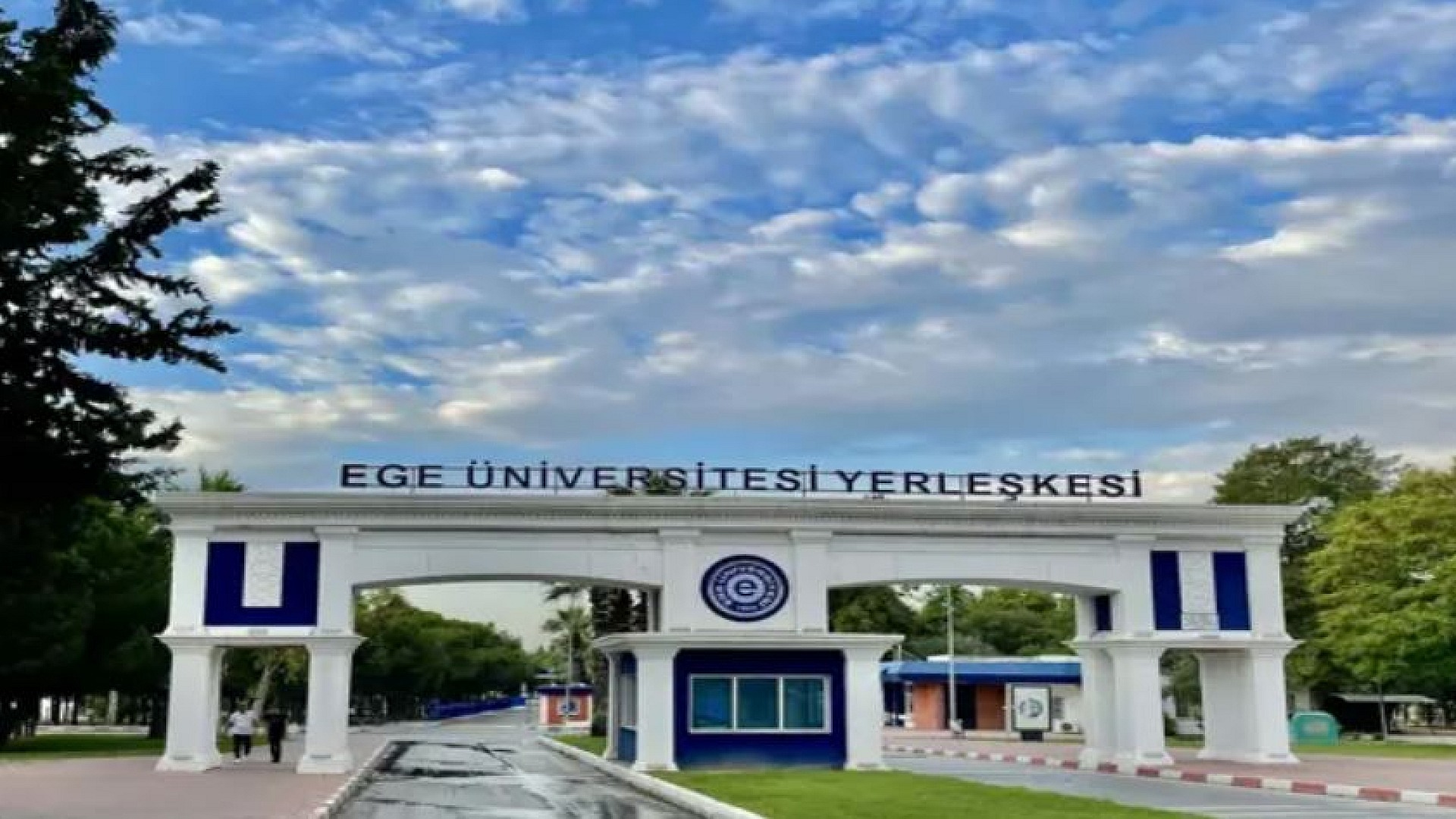 Ege Üniversitesi'nden kediler zehirlendi iddialarına yanıt
