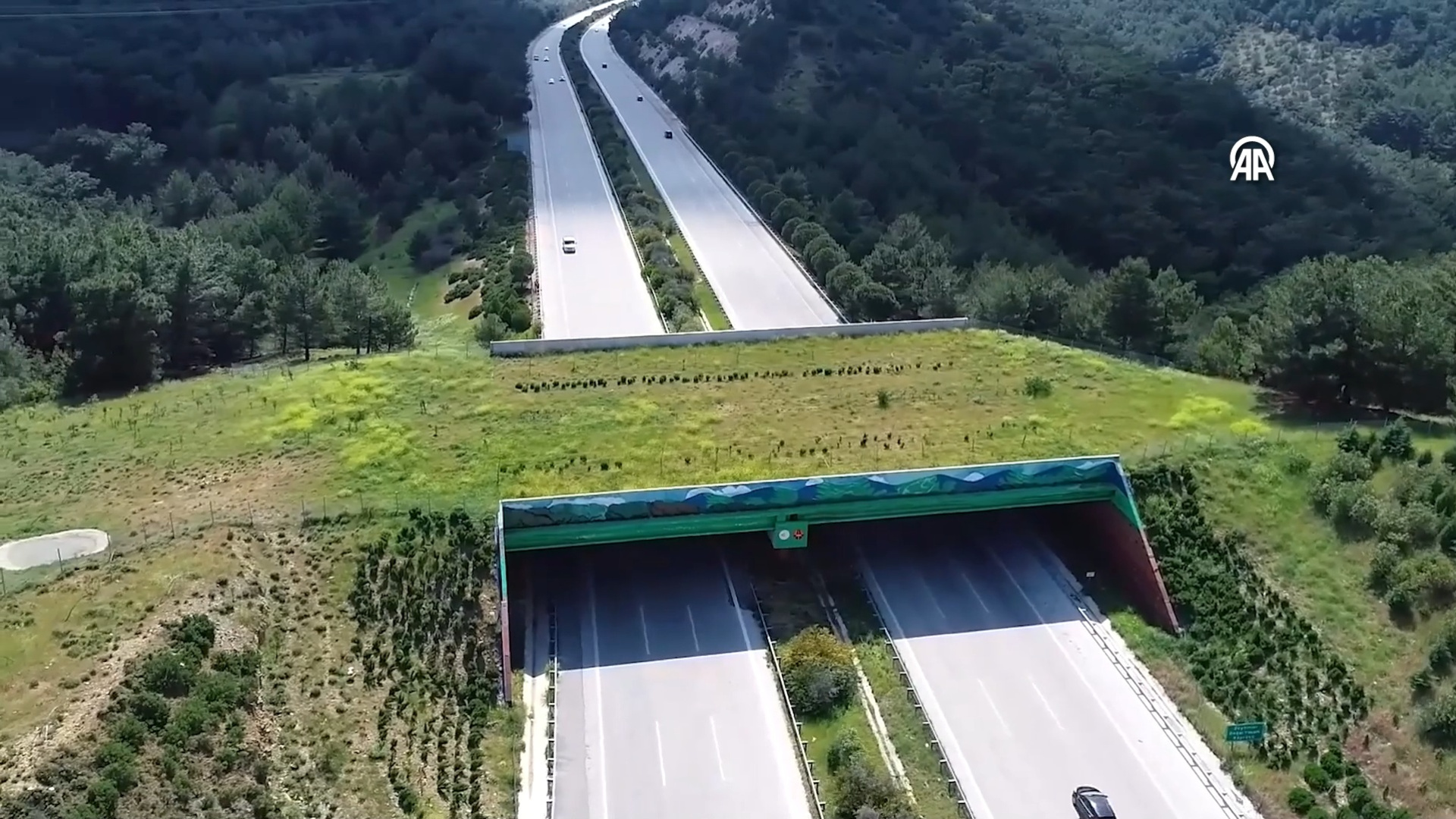 Ekolojik köprü sayısı 21'e ulaştı, yeni projeler planlanıyor