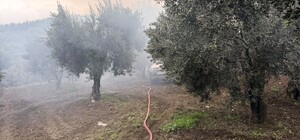 Erdek'teki zeytinlikteki müstakil evde yangın çıktı