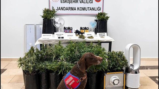 Eskişehir'de uyuşturucu operasyonunda bir kişi gözaltına alındı