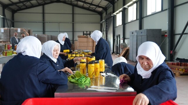 Gürsu Ovası'nda kadınların el emeğiyle turşu üretimi başladı