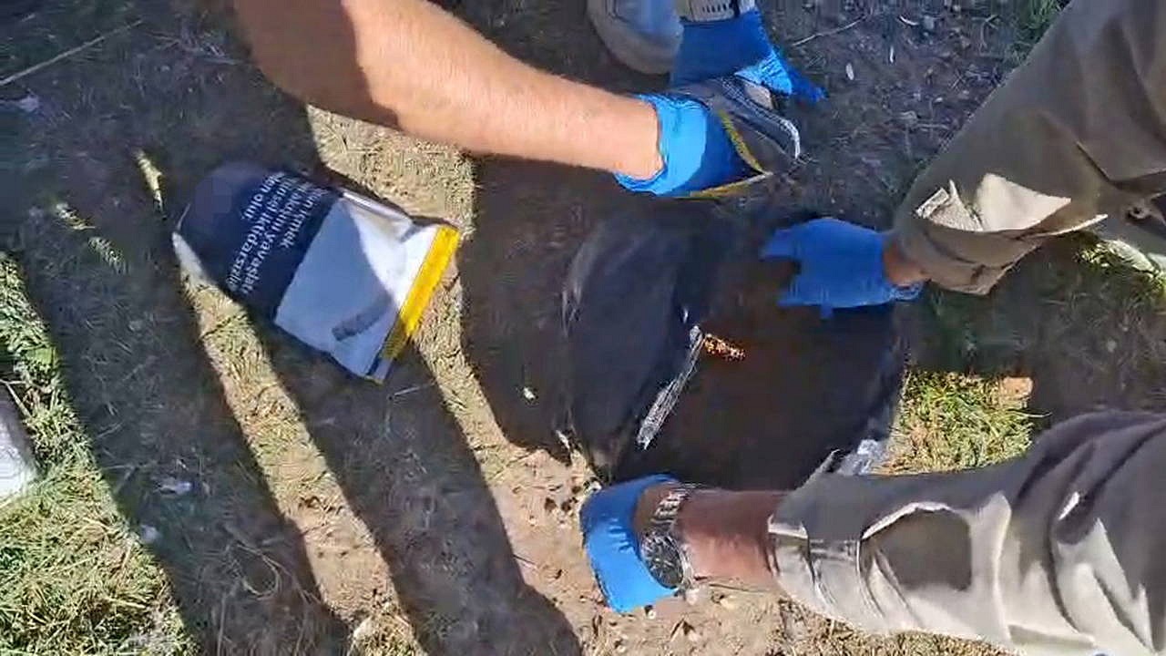 Güvercin kümesinde uyuşturucu saklayan şahıs tutuklandı