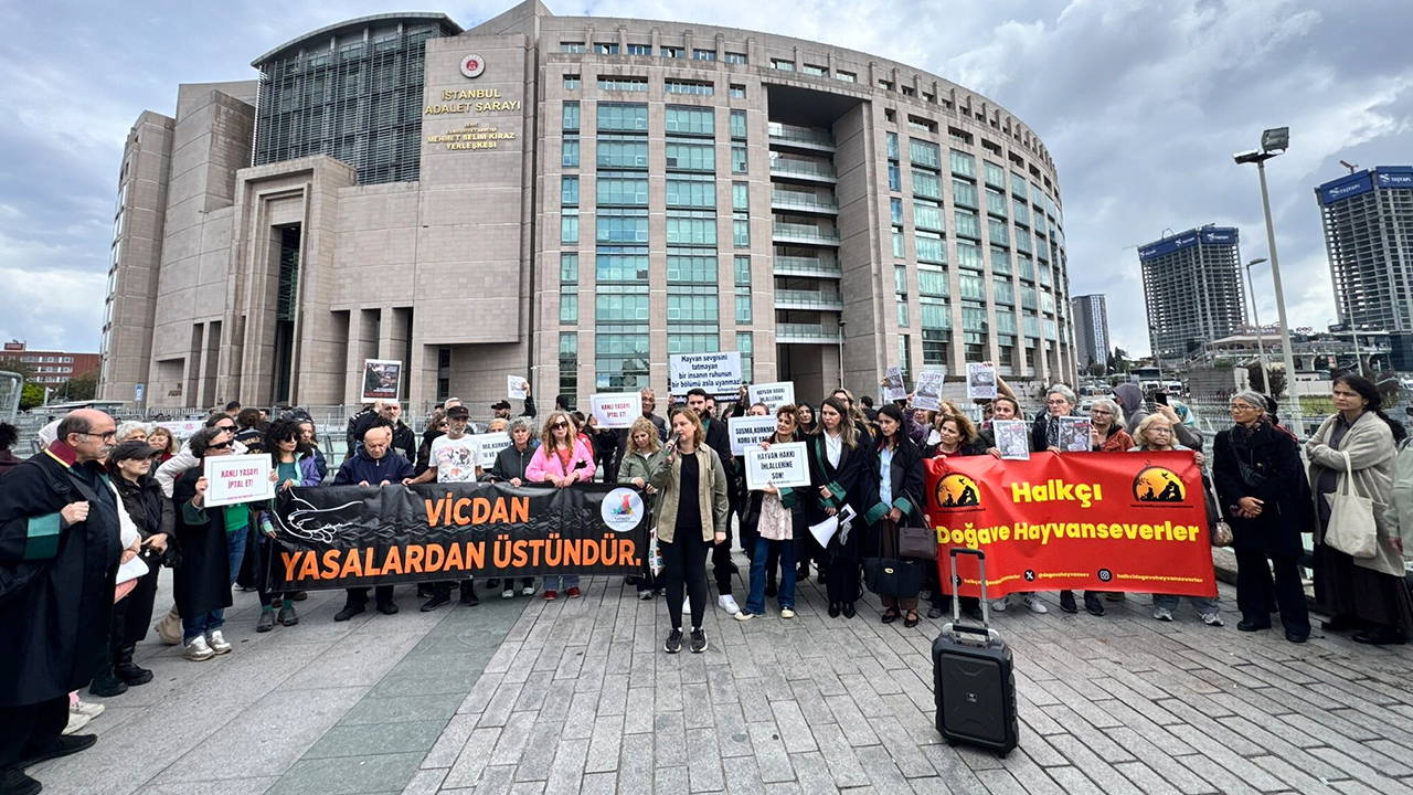 Hayvan hakları savunucularından Cenevre'ye başvuru
