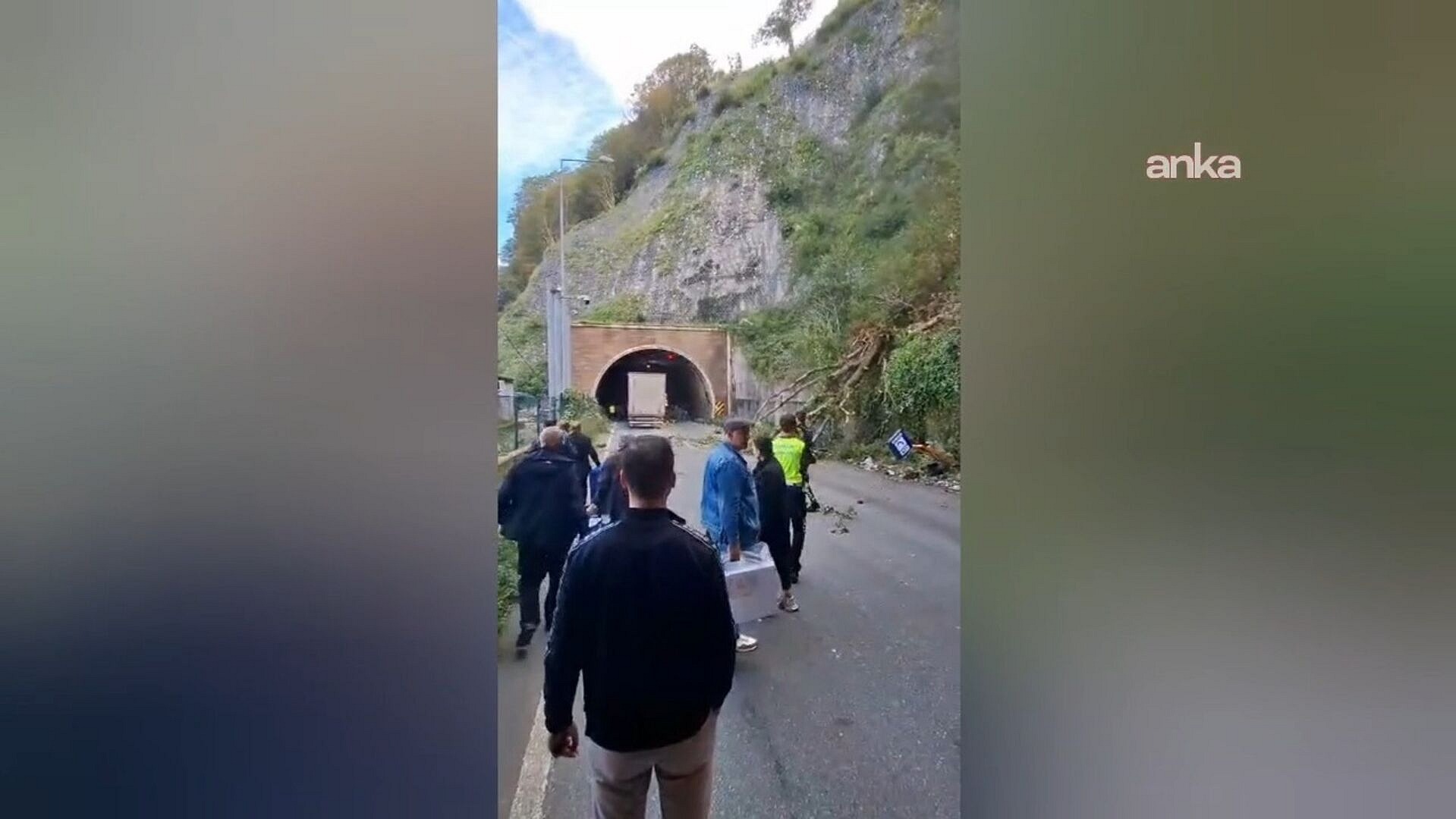 Hopa'da heyelan, ağaçlar araçların üzerine devrildi