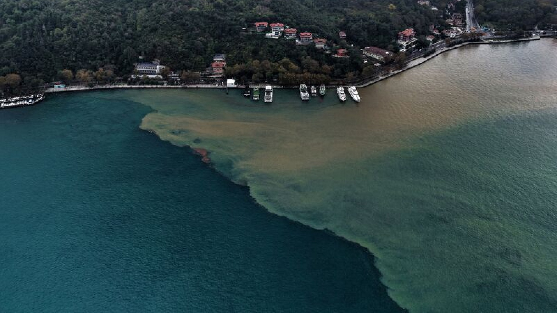İstanbul, Bursa ve Ordu'da sağanak sonrası deniz kahverengi