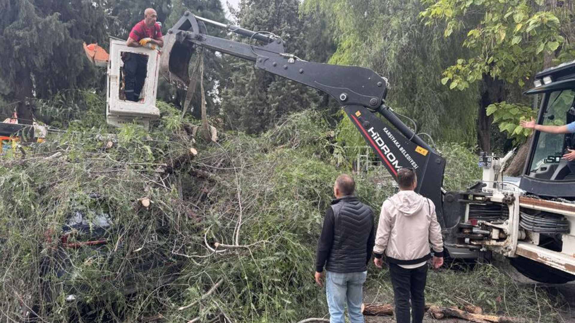 İzmir'de ağaç otomobillerin üzerine devrildi