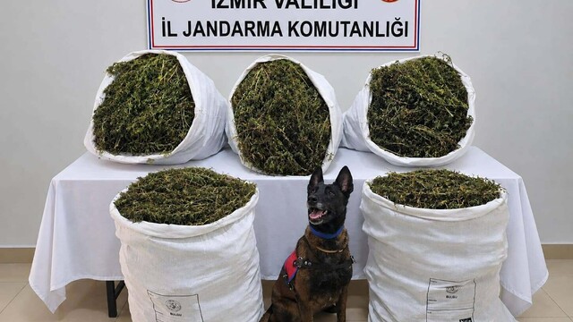 İzmir'de 54 kilo 800 gram esrar bulundu, 3 kişi tutuklandı