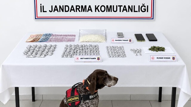 İzmir'de uyuşturucu operasyonunda 2 kişi tutuklandı