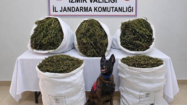İzmir'de uyuşturucu operasyonunda 54 kilo esrar ele geçirildi