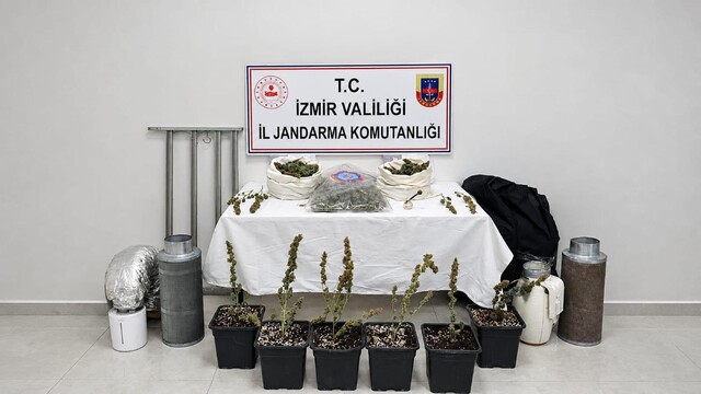 İzmir'de yasa dışı kenevir operasyonunda 5 kilo skunk