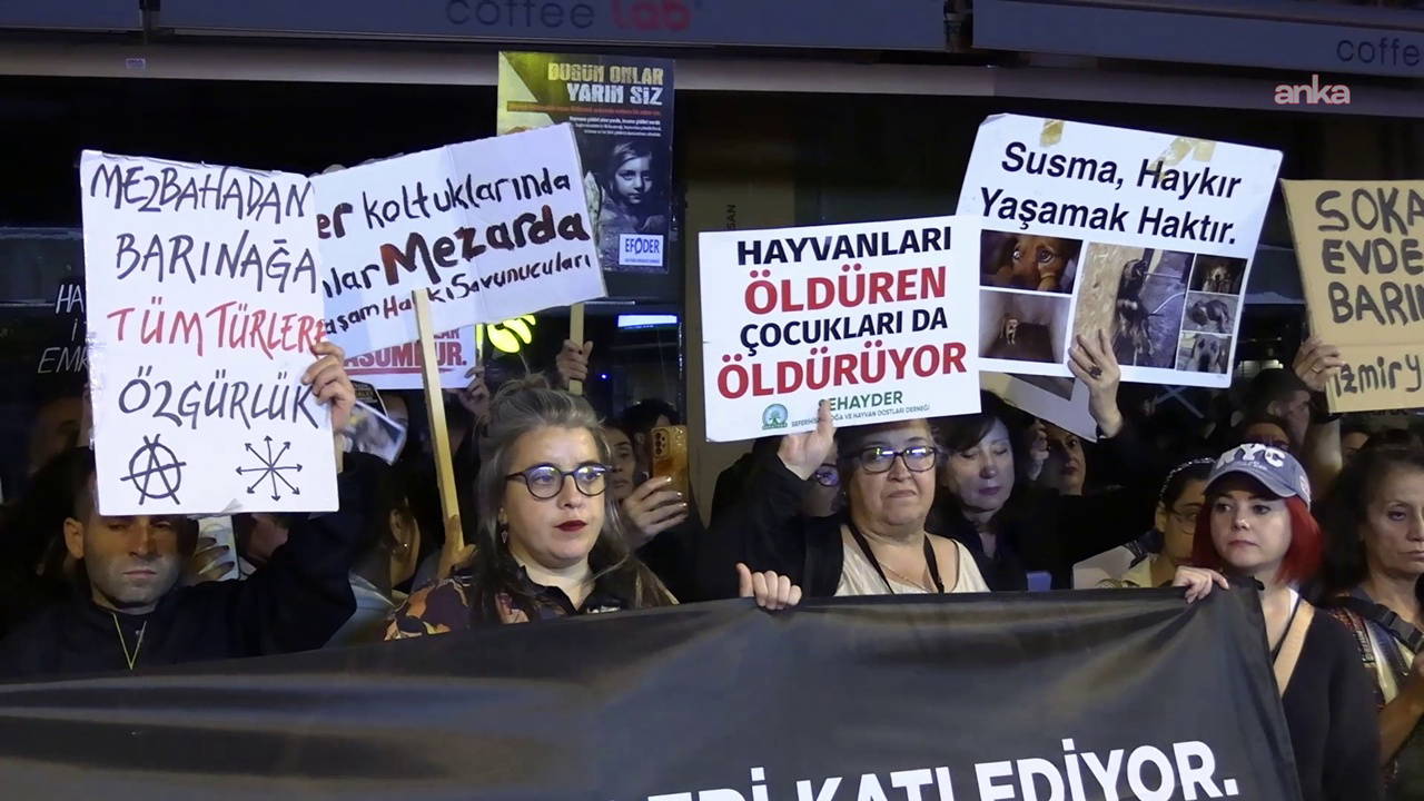 İzmir'de yaşam hakkı savunucularından yeni yasa çağrısı