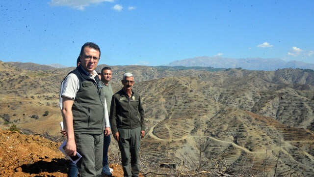 Kahramanmaraş'taki orman yangınında zarar 600 milyon lira