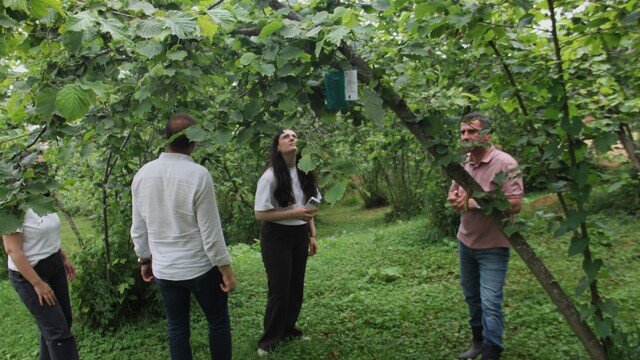 Karadeniz'de istilacı böcekler için istasyonlar kurulacak