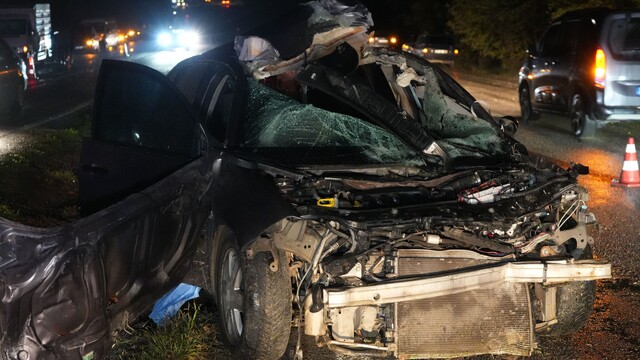 Kastamonu'da büyükbaş hayvana çarpan sürücü öldü