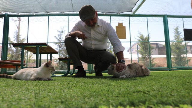 Kayseri'de bir ilk: Küçük Dostlar Kedi Kasabası ilgi görüyor