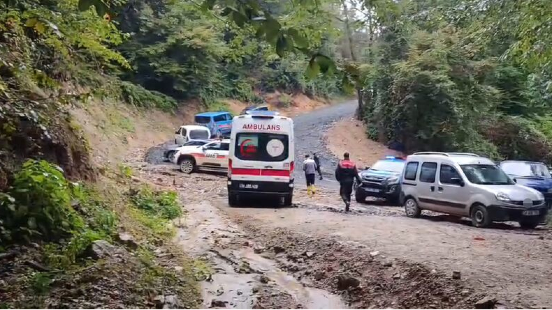 Durmuş Duran'ın cenazesi kestane toplarken bulundu