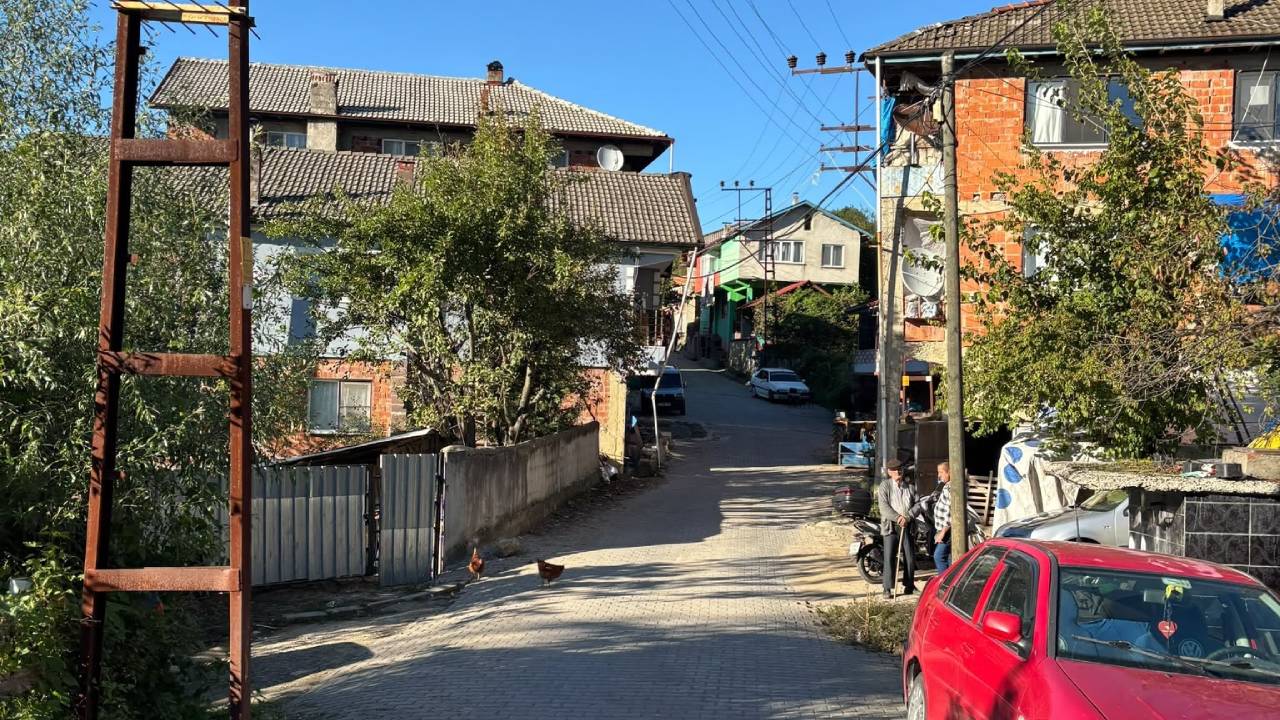 Kestane toplarken ormanda ölü bulunan İbrahim Karakaş