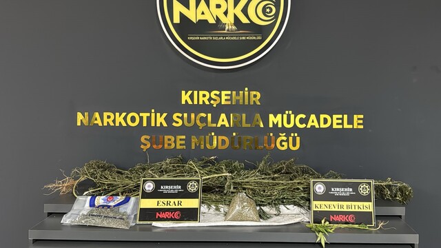 Kırşehir'de uyuşturucu operasyonunda bir zanlı tutuklandı
