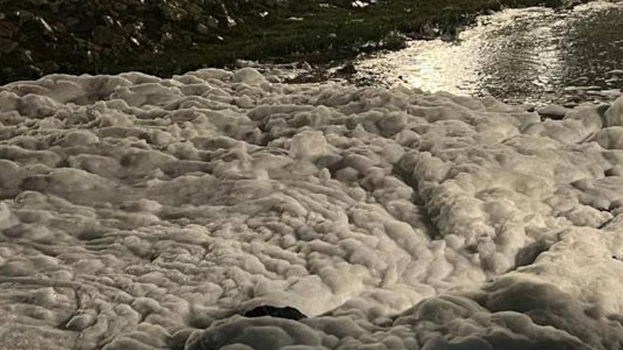 Kocaeli'de köpüklenen deniz için firmaya ceza verildi
