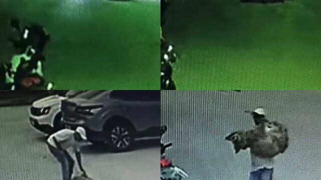 Mersin'de araçla ezilen köpek yaşamını yitirdi