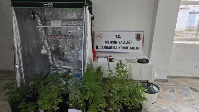 Mersin'de uyuşturucu yetiştiren 2 şüpheli yakalandı