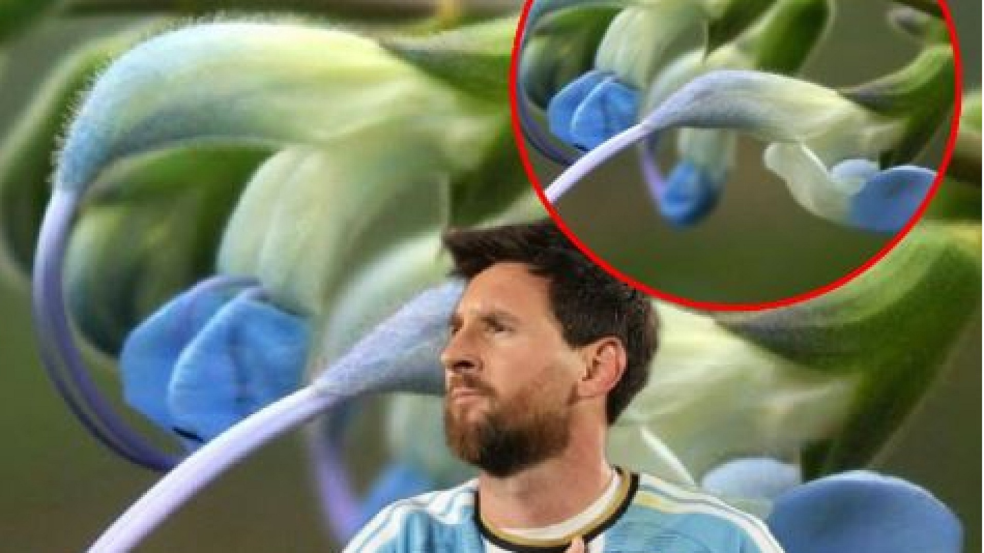 Messi'ye ithafen yeni bitki türü keşfedildi