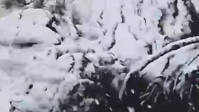 Muğla'nın Kavaklıdere ilçesinde sezonun ilk karı yağdı