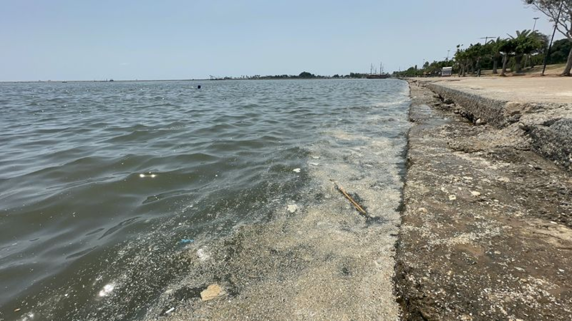 ODTÜ bilim insanları Akdeniz'deki deniz kirliliğini inceledi