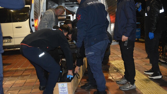 Ordu'da denize atlayan 18 yaşındaki genç hayatını kaybetti