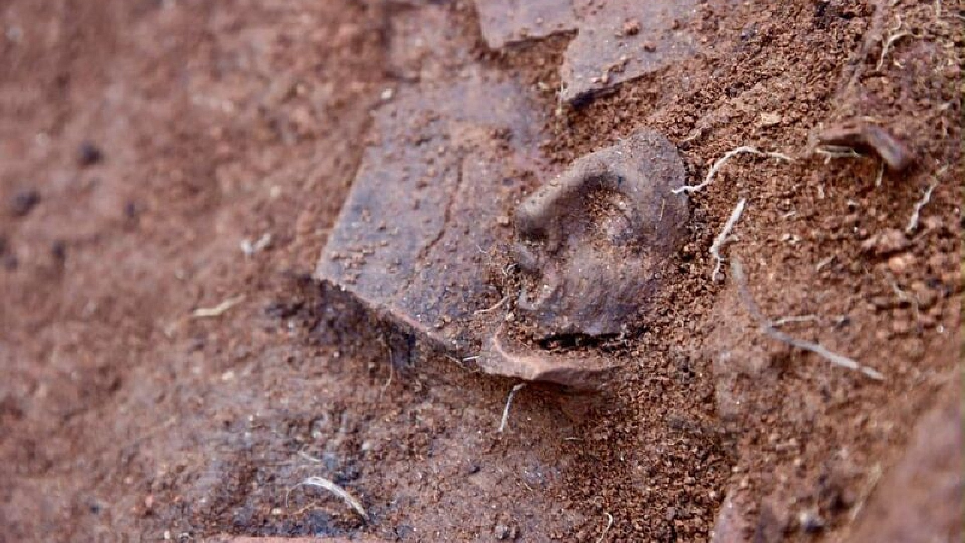 Ordu Kurul Kalesi'nde 2 bin 300 yıllık eserler keşfediliyor