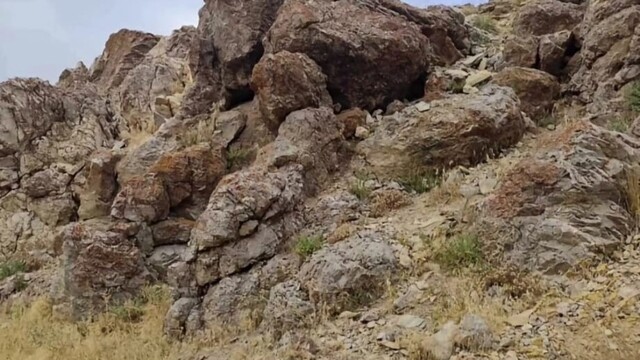 Özalp'te yıldırım düşmesi sonucu 14 yaşındaki çocuk öldü