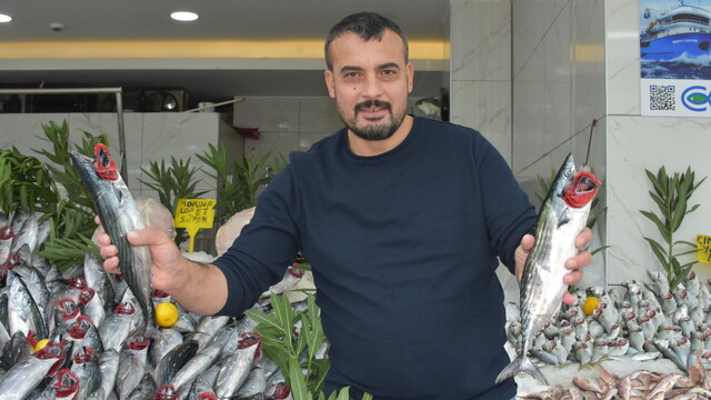 Palamut bolluğu bir ay daha devam edecek