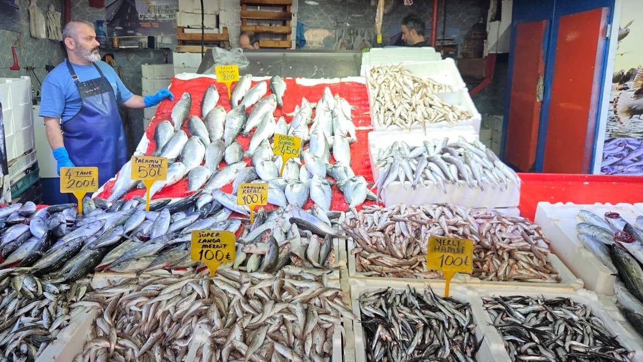 Palamut fiyatları 50 liraya düştü, vatandaşlar akın etti