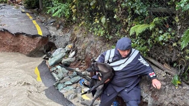 Sakarya'da jandarma sel bölgesinde arama kurtarma yapıyor
