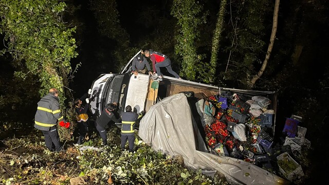 Sinop'ta sebze yüklü kamyonet devrildi: 3 yaralı