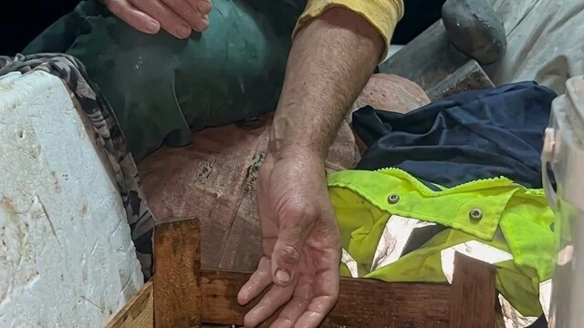 Sinoplu balıkçı mavi yengeç buldu, denize geri bıraktı