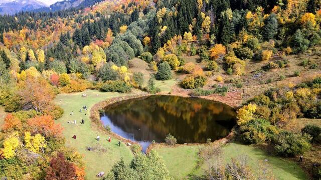 Sonbahar renkleri Artvin'deki Rutav Gölü'nde buluştu