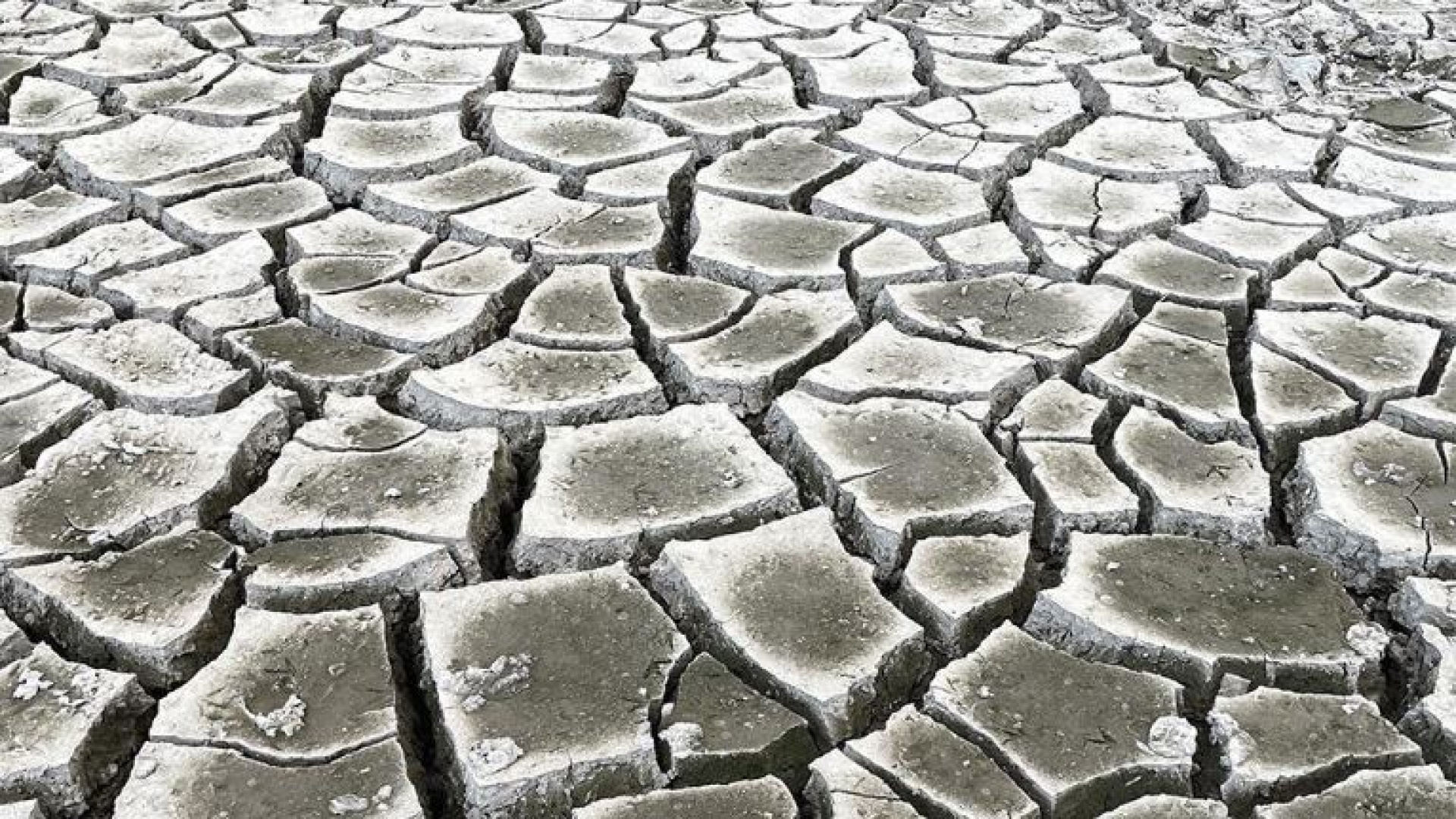 Su politikaları derneği 2026 iklim raporunu değerlendirdi