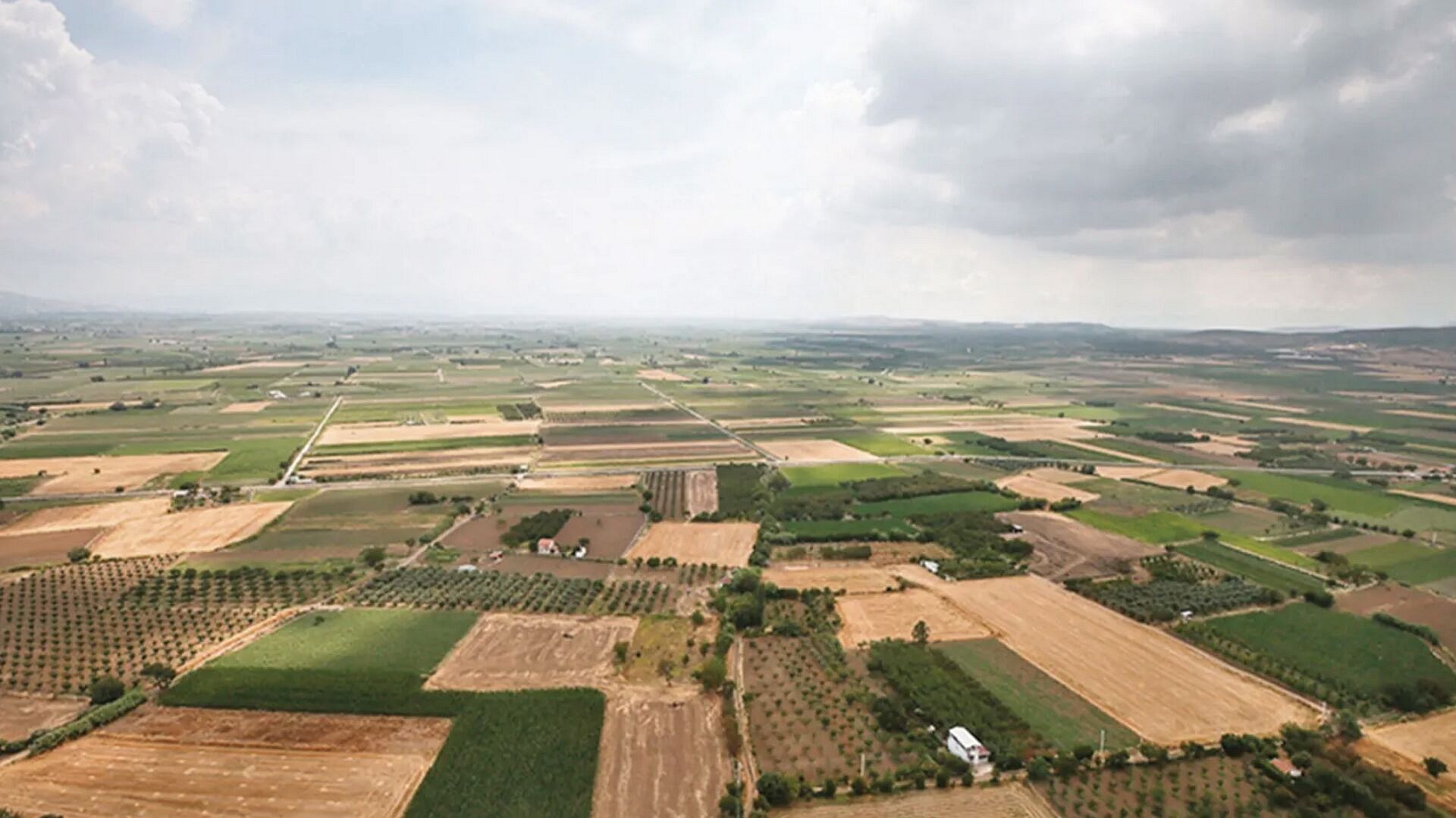 TARIM SİGORTALARINA 10 AYDA 478 BİN HASAR İHBARI YAPILDI