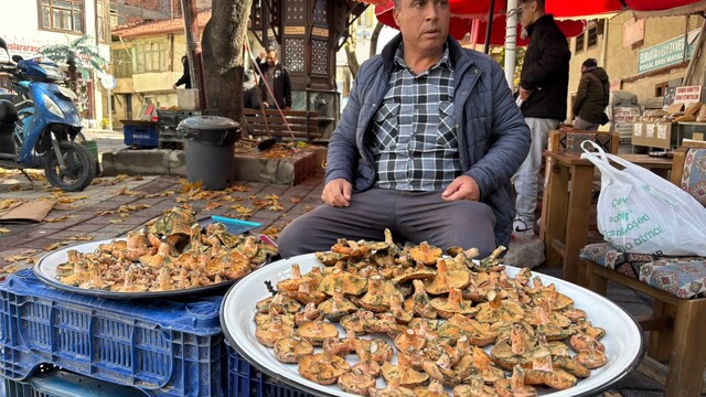 Tavşanlı'da dağ mantarı fiyatı 350 lira oldu