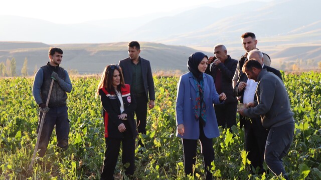 Tercan kaymakamı çiftçileri ziyaret etti