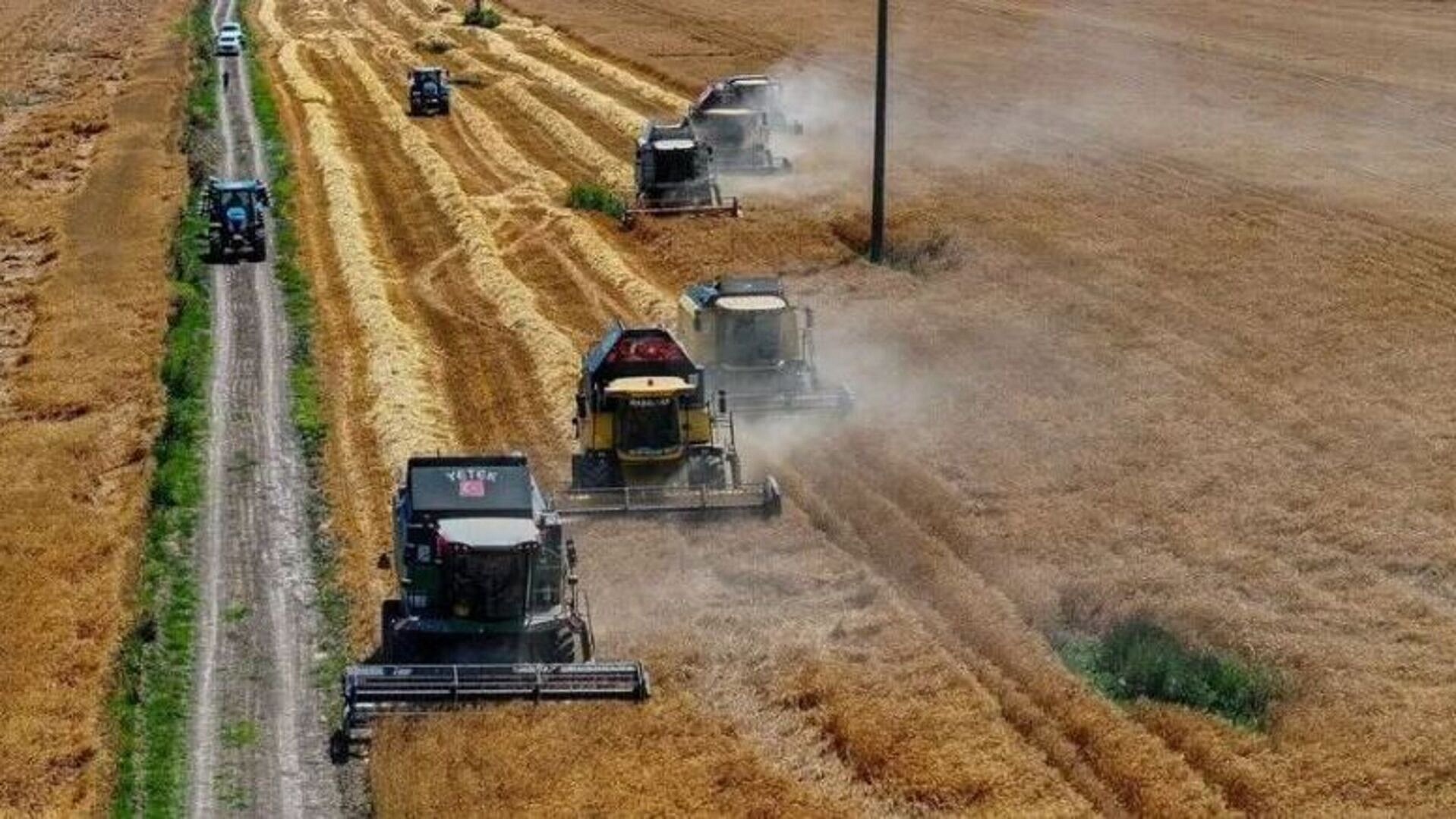 TİGEM 2 bin 116 ton buğdayı açık artırma ile satacak