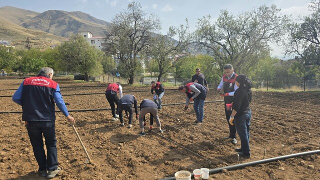 Tunceli'de 70 yaşındaki Şehriban teyze için ekipler seferber oldu
