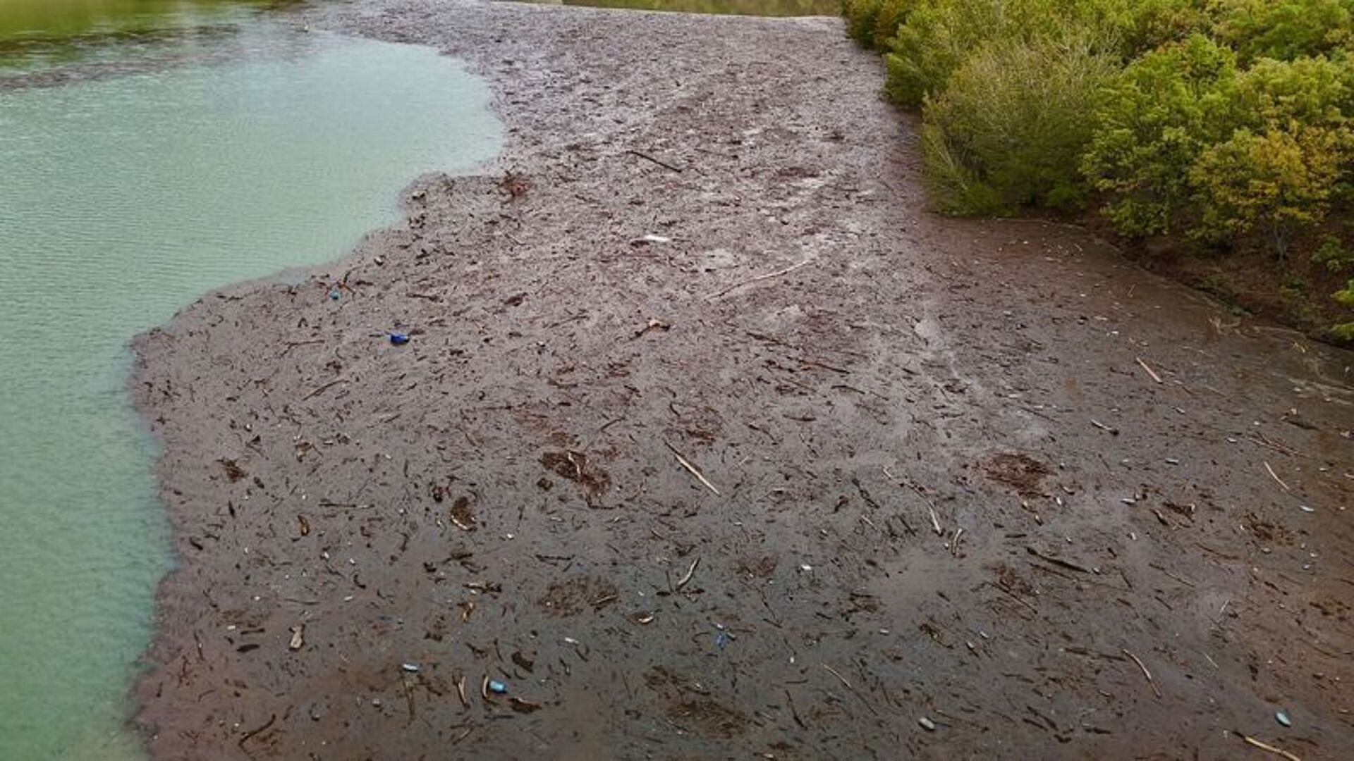 Tunceli'de sağanak sonrası baraj gölünde atık birikti