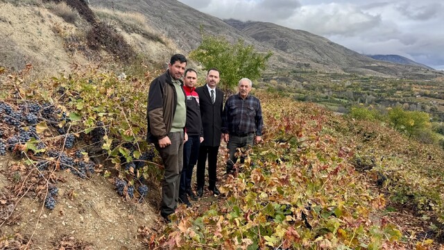 Hökelekli, üzüm bağında incelemelerde bulundu