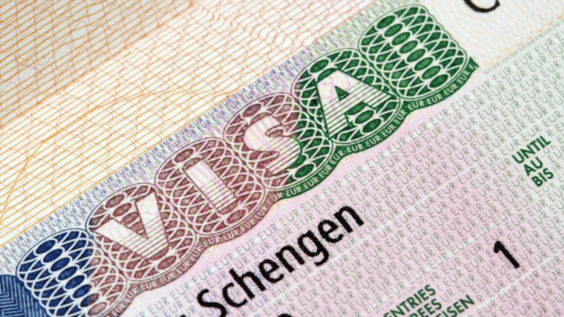 VFS Global'den dolandırıcılık uyarısı: randevular ücretsiz